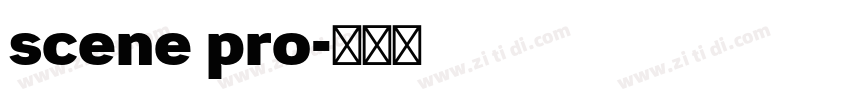 scene pro字体转换